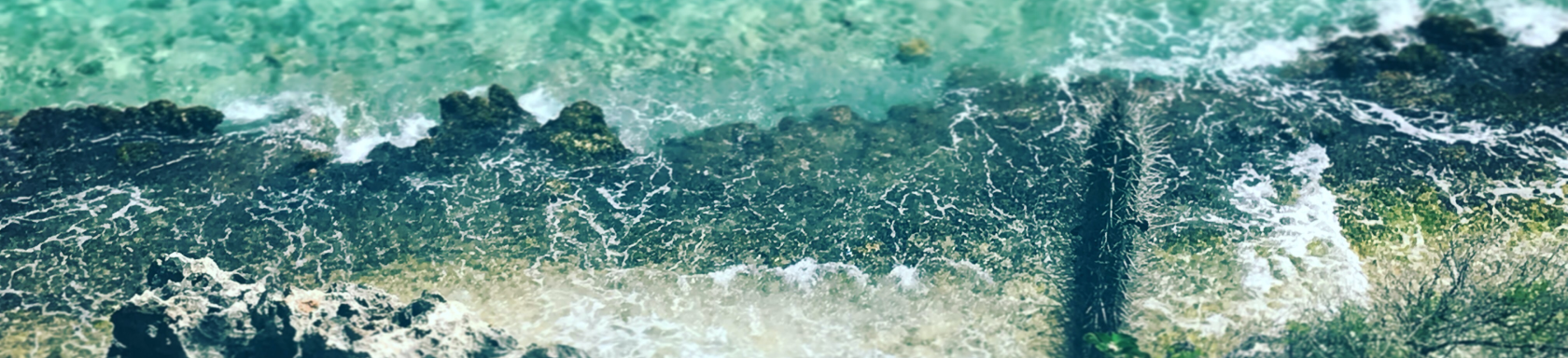 De natuur op bonaire